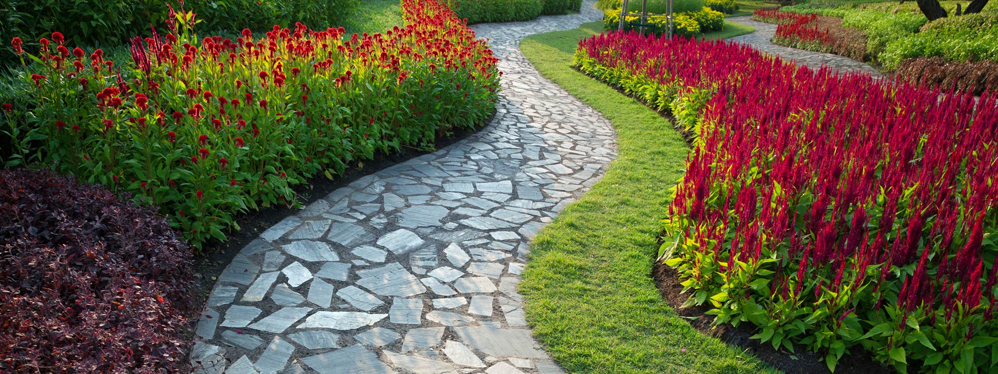 Landscaped Path